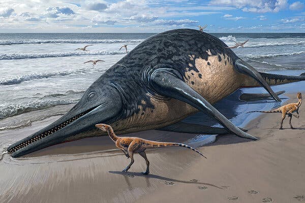 An 11-Year-Old Girls Fossil Find Is the Largest Known Ocean ...
