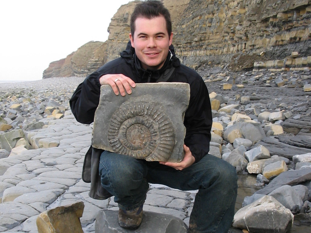 Fossil Hunting Guide | Discovering Fossils