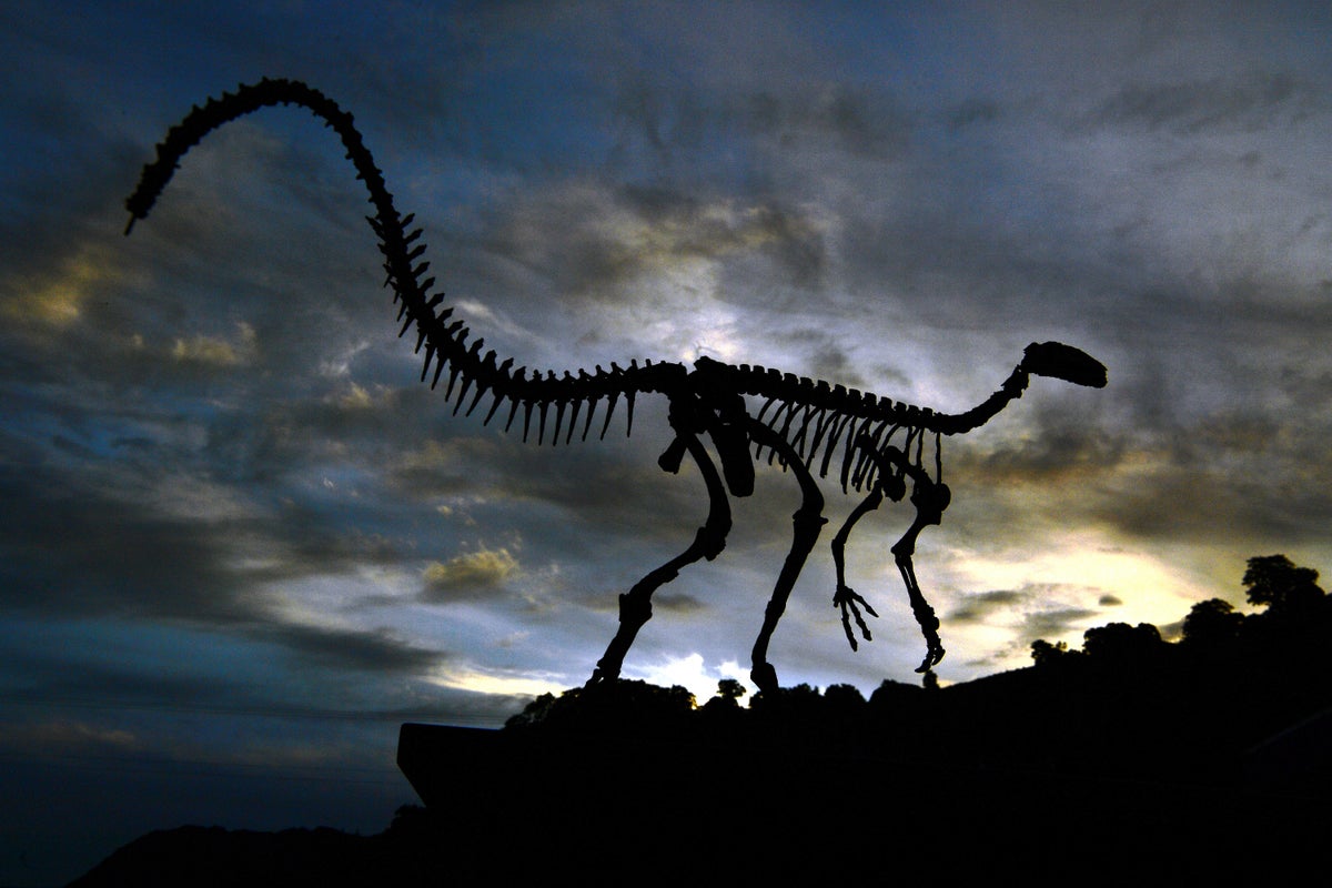 Paleontology Is Far More Than New Fossil Discoveries | Scientific ...