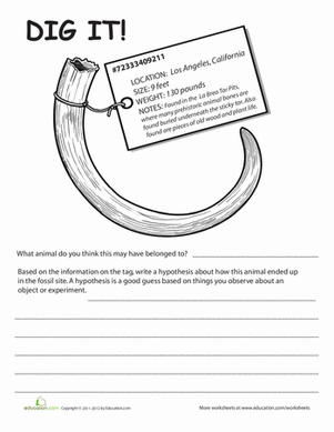 Fossils for Kids | Worksheet 