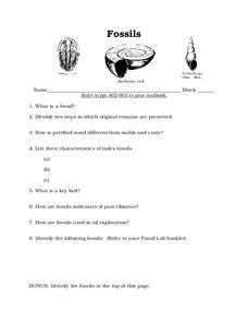 Fossils Worksheet for 7th - 9th Grade | Lesson Planet