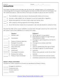Fossils Worksheets