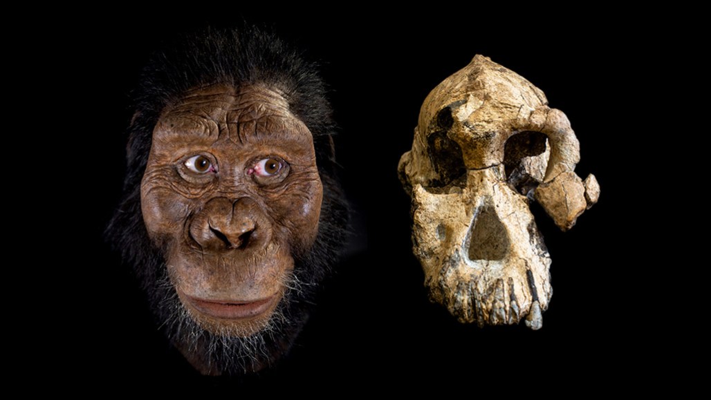 Science News favorite fossils of 2019