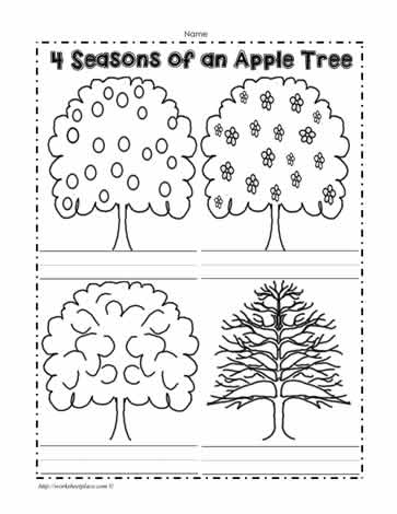 An Apple Tree in 4 Seasons Worksheets
