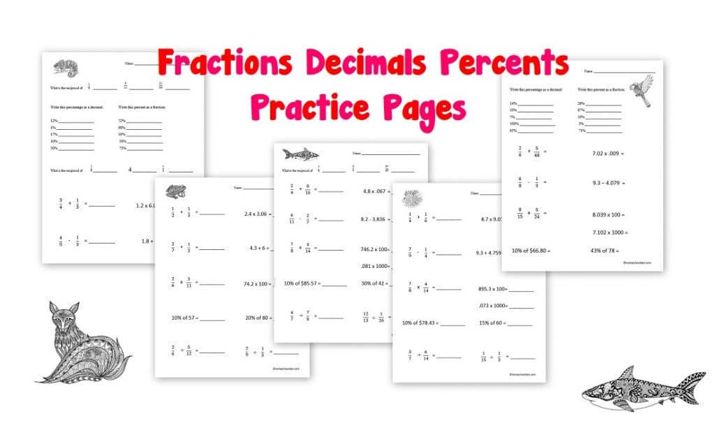 fractions decimals percents worksheet