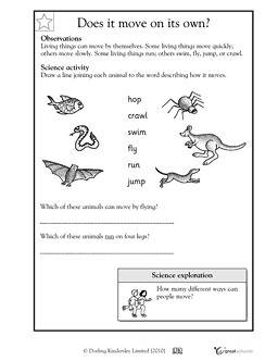 free 2nd grade science worksheet
