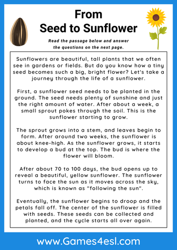 free 3rd grade reading comprehension worksheet