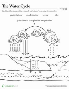 100 Best Sixth Grade Printables! ideas | sixth grade, sixth grade ...