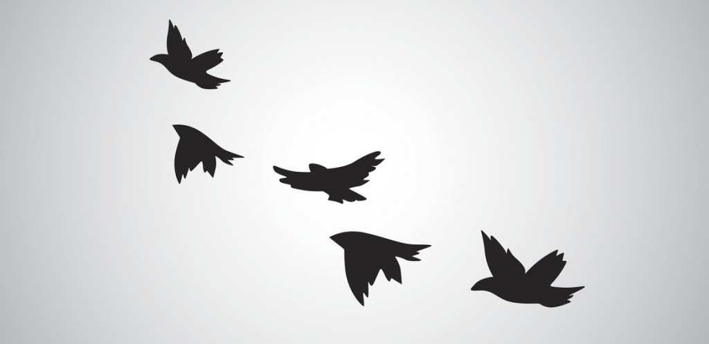 Heres the Story, of a Lovely Free Bird