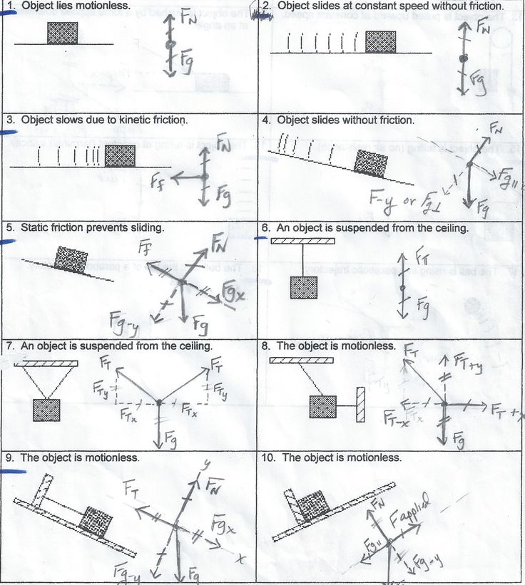 Force Diagrams Worksheet Physical Science Force Best Free | Free ...