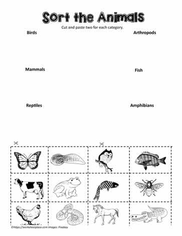Animal Classification Sort Worksheets