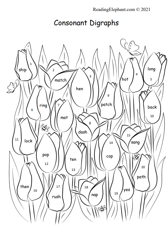 Digraph Worksheet PDF - Reading Elephant