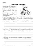free economic worksheet