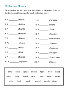 free english grammar worksheet