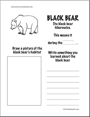Black Bear Informational Worksheet - First Grade Science - Forest ...