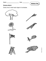 free first grade science worksheet
