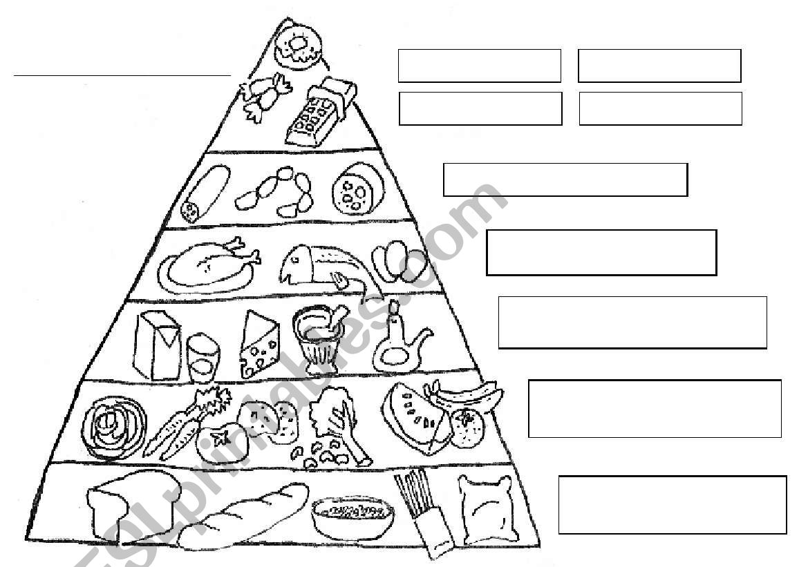 free food pyramid worksheet