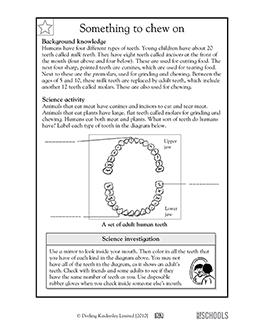 free health math worksheet