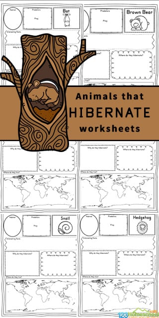 ???? FREE FREE Printable Animals that Hibernate Worksheets