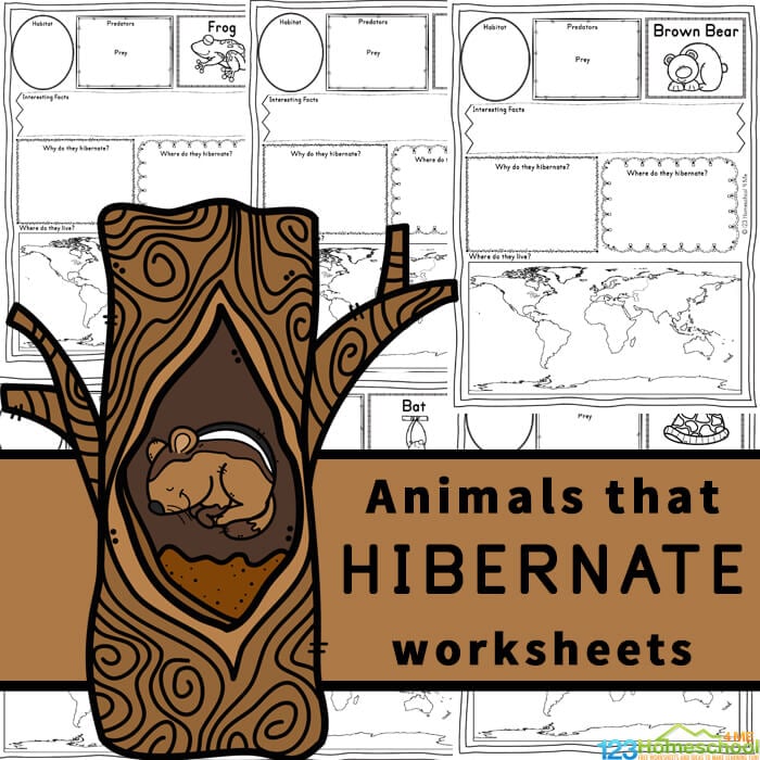 ???? FREE FREE Printable Animals that Hibernate Worksheets