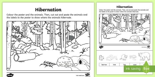 free hibernation worksheet