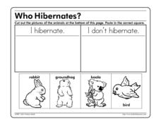 Who Hibernates? Worksheet for 2nd - 3rd Grade | Lesson Planet