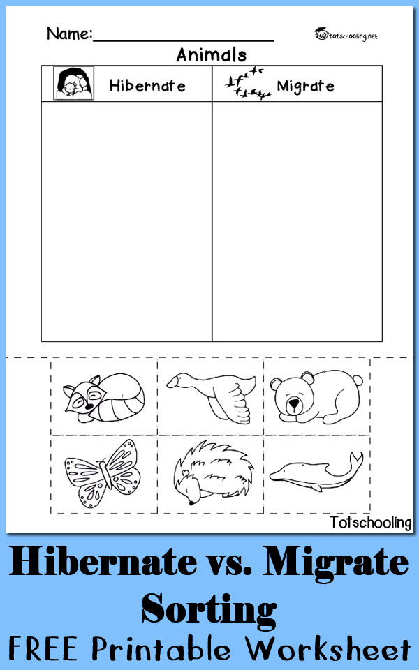 free hibernation worksheet
