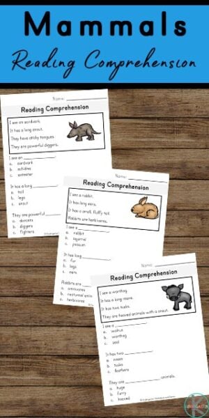 free mammal worksheet