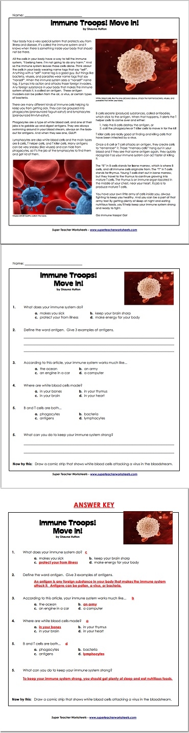 free middle school science worksheet