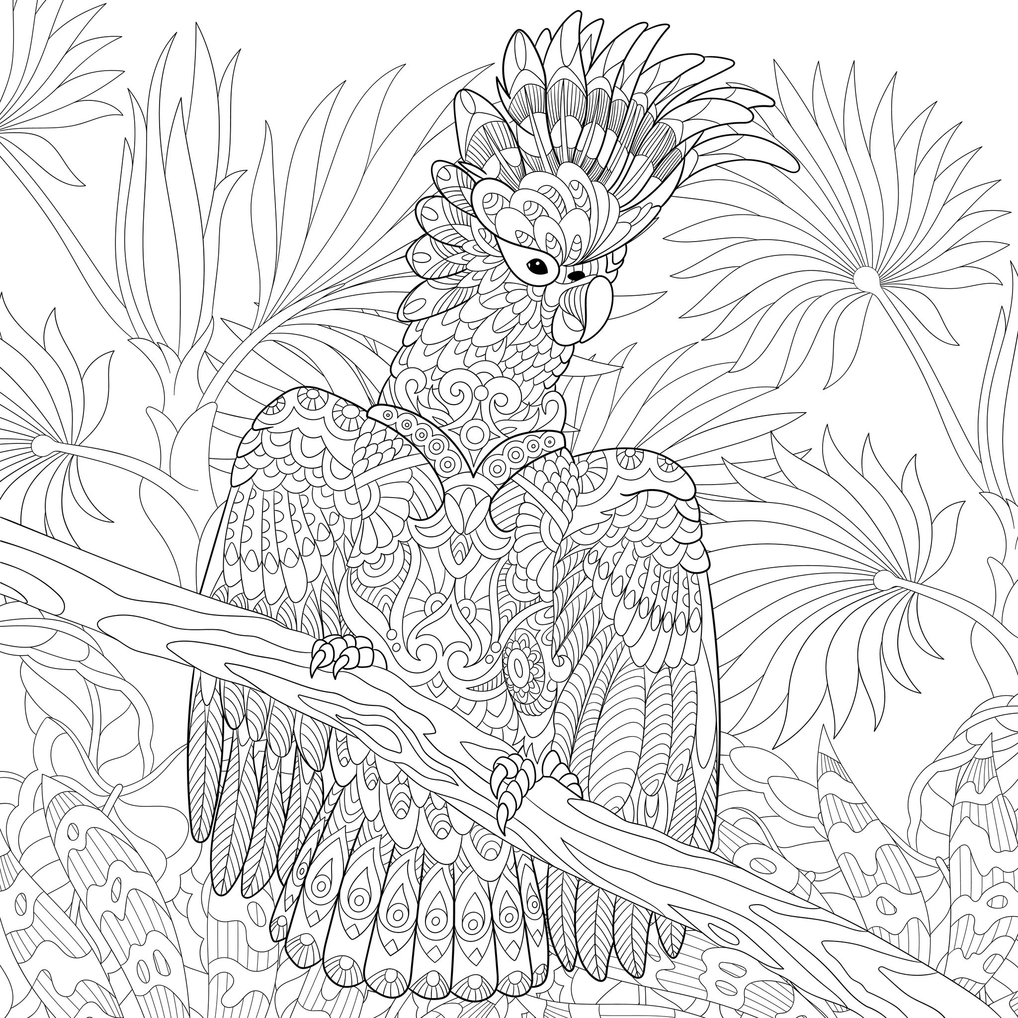FREE Cockatoo Mindfulness Colouring-in - Eco Explorers