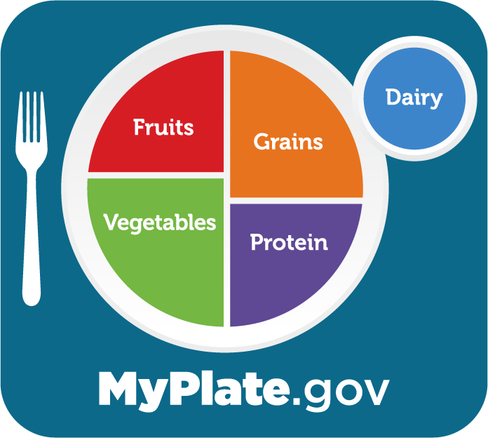 free my plate worksheet
