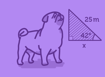 Pre-Algebra Help and Practice | StudyPug
