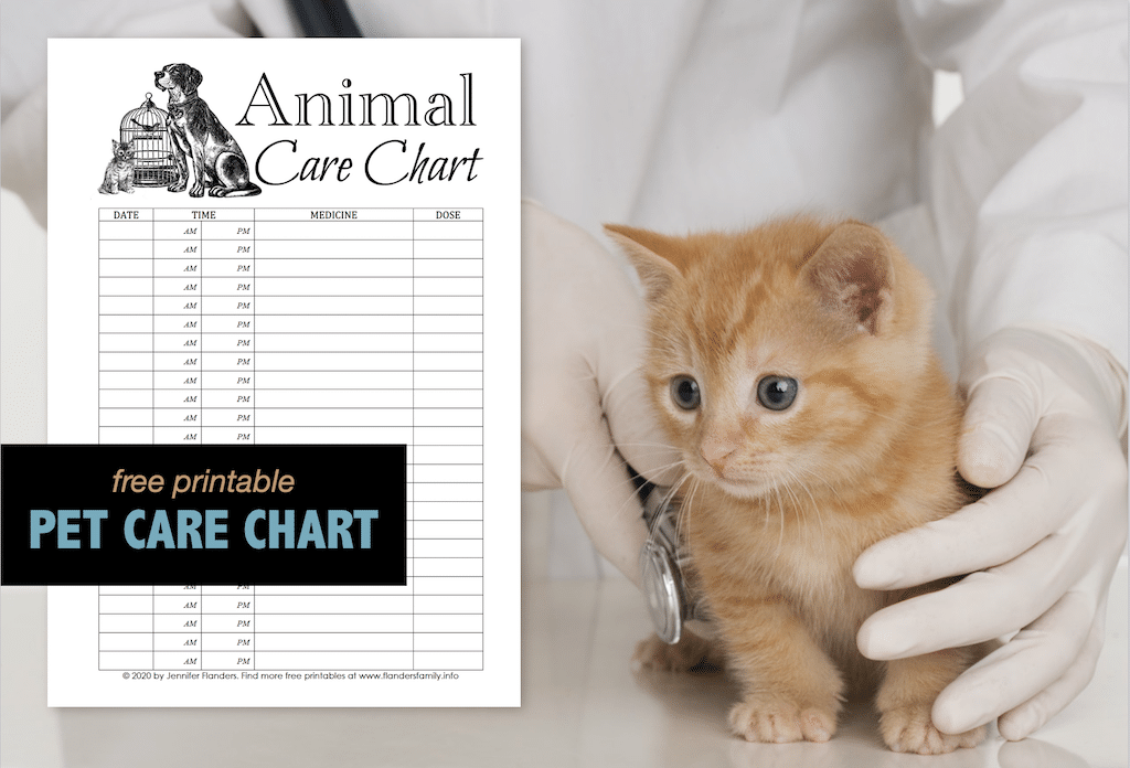 free printable animal chore charts