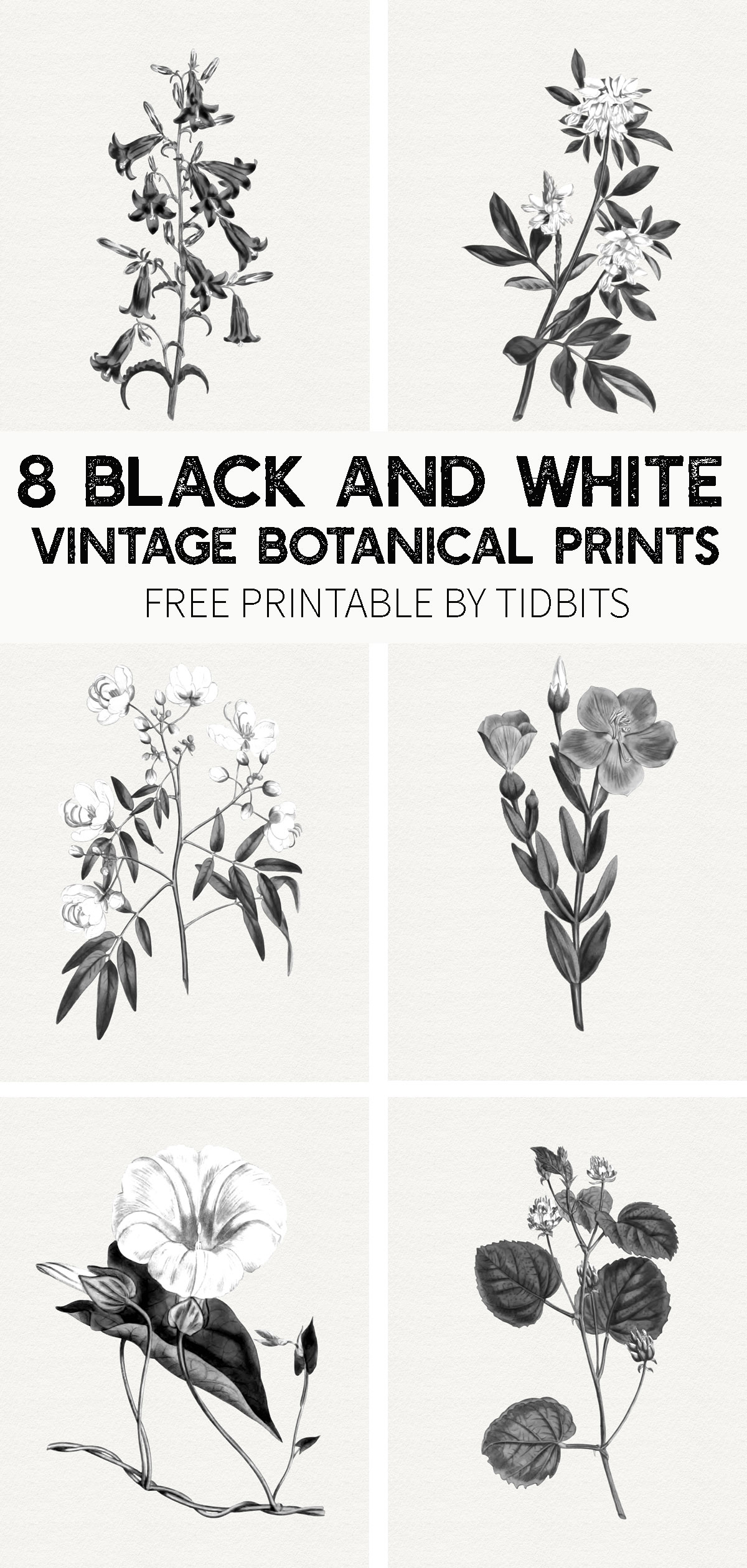 free printable art black and white