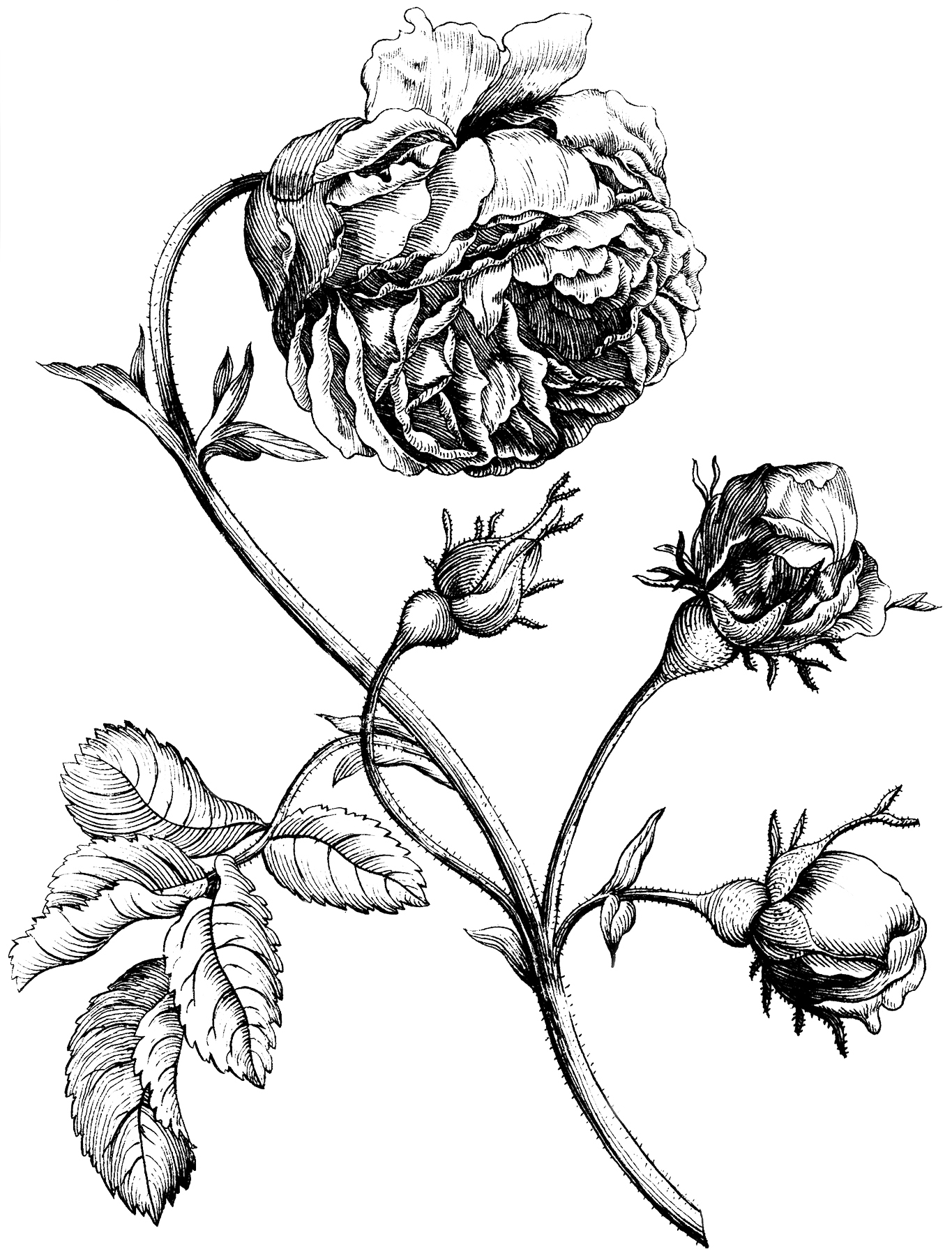 free printable art black and white