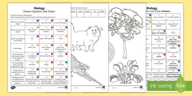 free printable biology worksheet