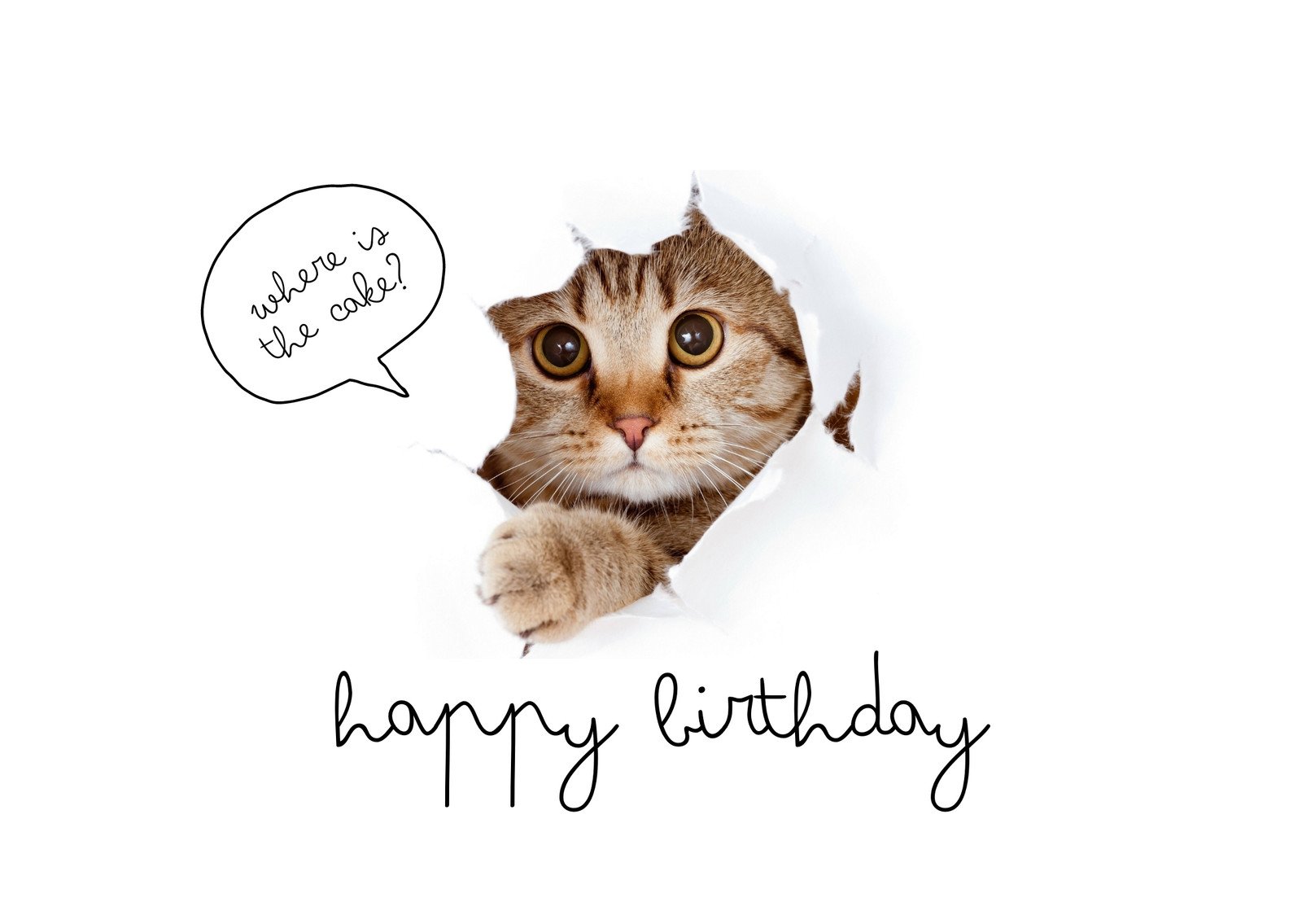 Free printable funny birthday card templates 