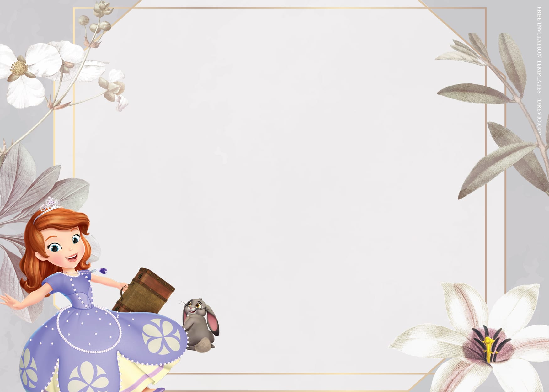9+ Playing Castle With Sofia The First Birthday Invitation ...