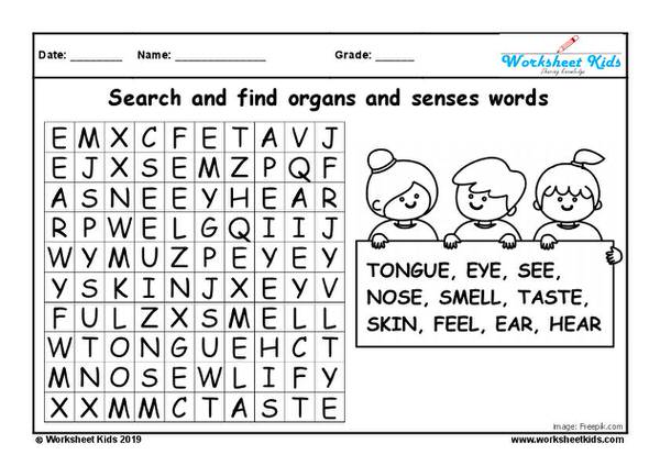 Sense Organs Crossword Puzzle - Free printable PDF