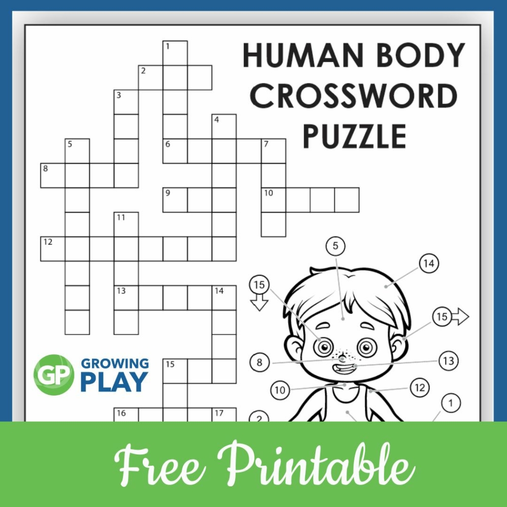 Body Crossword Puzzle Free PDF Growing Play Worksheets Library Body Crossword Puzzle Free PDF Growing Play Worksheets Library