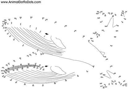 free printable dot to dot 2nd grade