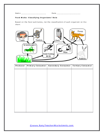 Ecology Worksheets