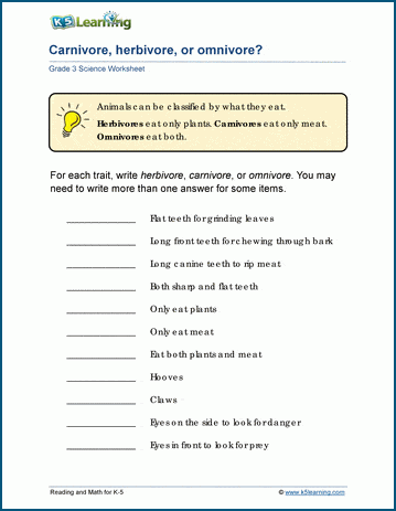 Grade 3 Ecosystems Worksheets | Worsheets library