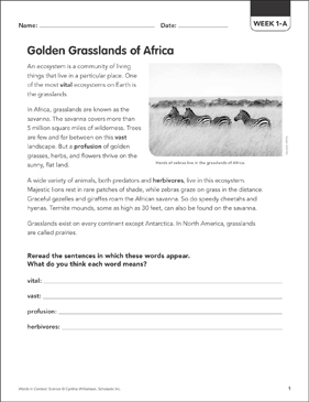 Ecosystems (Science): Words in Context | Printable Skills Sheets
