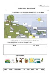 The ecosystem worksheets