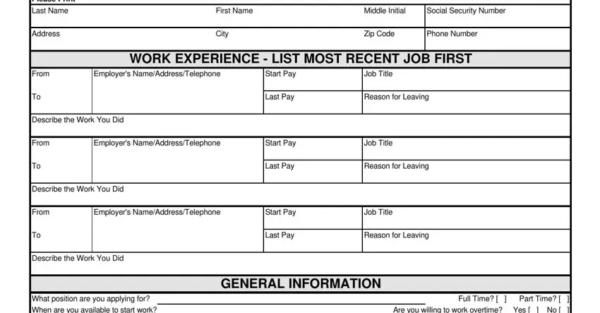 free printable employment applications in spanish