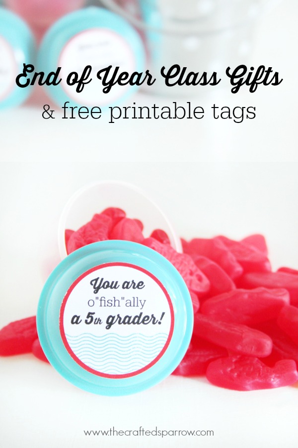 O-FISH-ALLY Summer Class Gifts &  Printable Tags