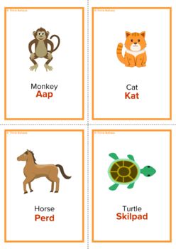 Animals Afrikaans flashcards
