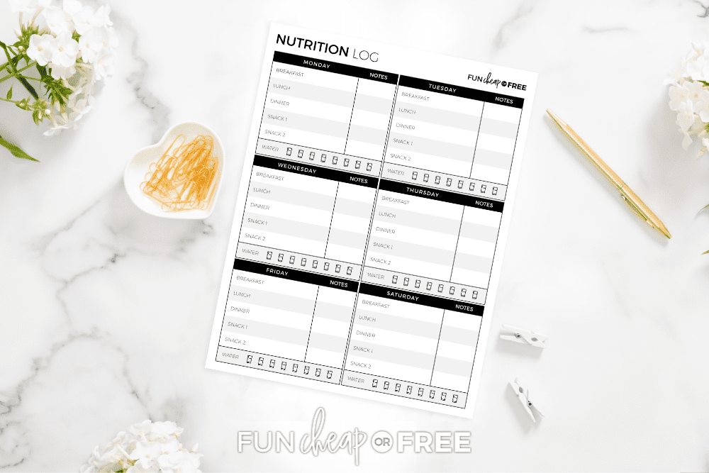 free printable food and workout journal