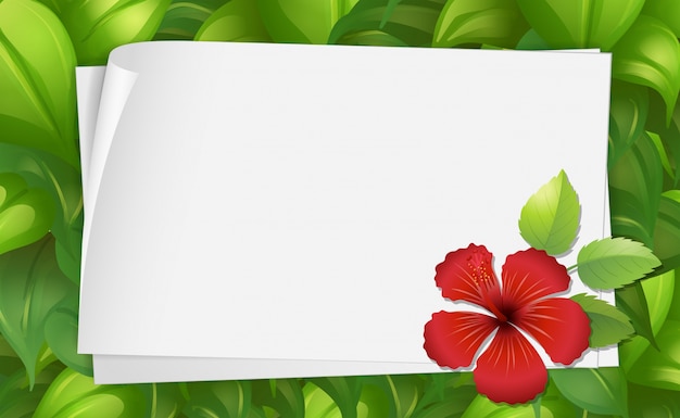 Hibiscus Border Images - Free Download on Freepik